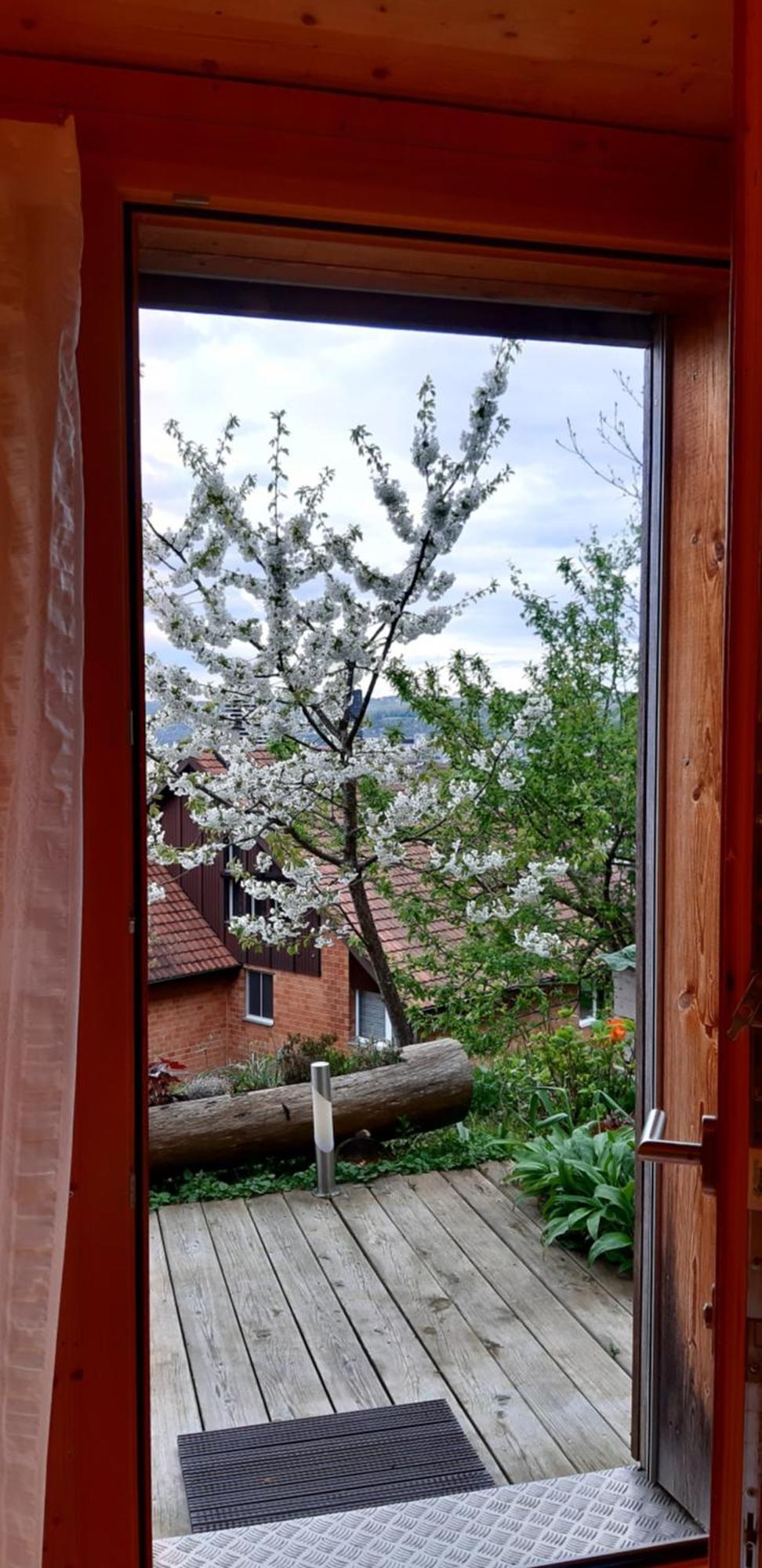 B&B Sunnesite Праттельн Экстерьер фото